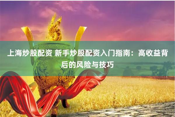 上海炒股配资 新手炒股配资入门指南：高收益背后的风险与技巧